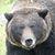Danute Paukstys's profile image