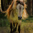Cavallini Farms's profile image