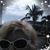 Barbara Anderson's profile image