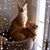 Cathy Warble Newman's profile image