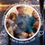 Shannon Raby Savino's profile image