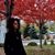 Elizabeth Pierre's profile image