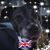 Kim Blencowe Crissey's profile image