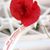 Michelle Berger Kuether's profile image