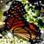 Mary Chumney's profile image