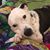 Karen L. Cox's profile image