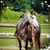 Jackie Kelly Davis's profile image