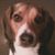 Mary Elftman's profile image