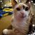 Melinda Marie Ewer's profile image