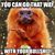 Tracy McCarson's profile image