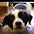 Cecilia Andrade's profile image