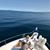 Amy Westgate Watts's profile image