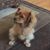 Marsha Wyllys-Juarez's profile image