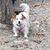 Bobbi Gelberg Anderson's profile image
