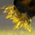 Barbara Arneson's profile image
