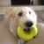 Jeanne Miller's profile image