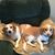 Hope R. Blasko's profile image