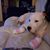 Tisha Cortes's profile image