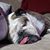 Kellie Schlachter's profile image