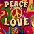Teresa Flusche's profile image