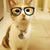 Kit Cat's profile image