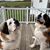 Candy M. Muncy's profile image