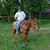 Brian Payne's profile image