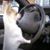 Deborah Sheeler's profile image