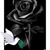 Mariana Uzhca's profile image