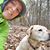 Susan Serfass's profile image