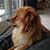 Daniel DeBold's profile image