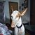 Mo Swatek's profile image
