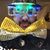 Ryan Gostinger's profile image
