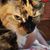 Kerry L Decker's profile image
