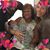 Karen Price's profile image