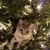 Kim Dillon's profile image