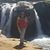 Elena Arias's profile image