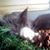 Madonna Cyrier-Floriant's profile image