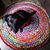 Monica Daniels's profile image