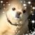 David Ray Havisto's profile image