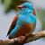 Darla Wilson's profile image
