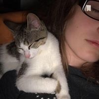 Lindsey Sullivan's profile image