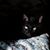 Karla Stallbohm's profile image