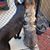 Kimberly Ann Klein's profile image