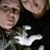 Amanda Lynne's profile image