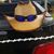 Alex Marroquin's profile image