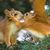 Peggy Alloway's profile image