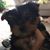 Carolyn Vann Hughes's profile image