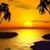 Sherry Turner's profile image