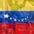 Wilmer Jose Martinez's profile image